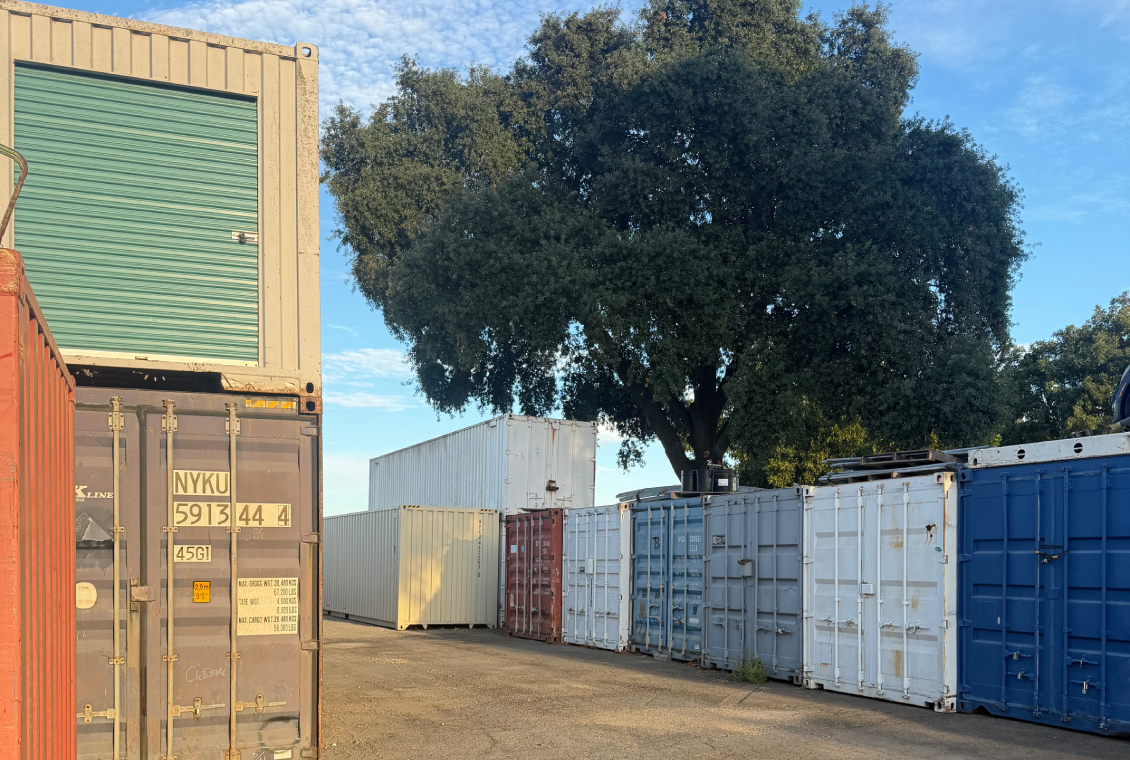 Stacked shipping containers under a tree